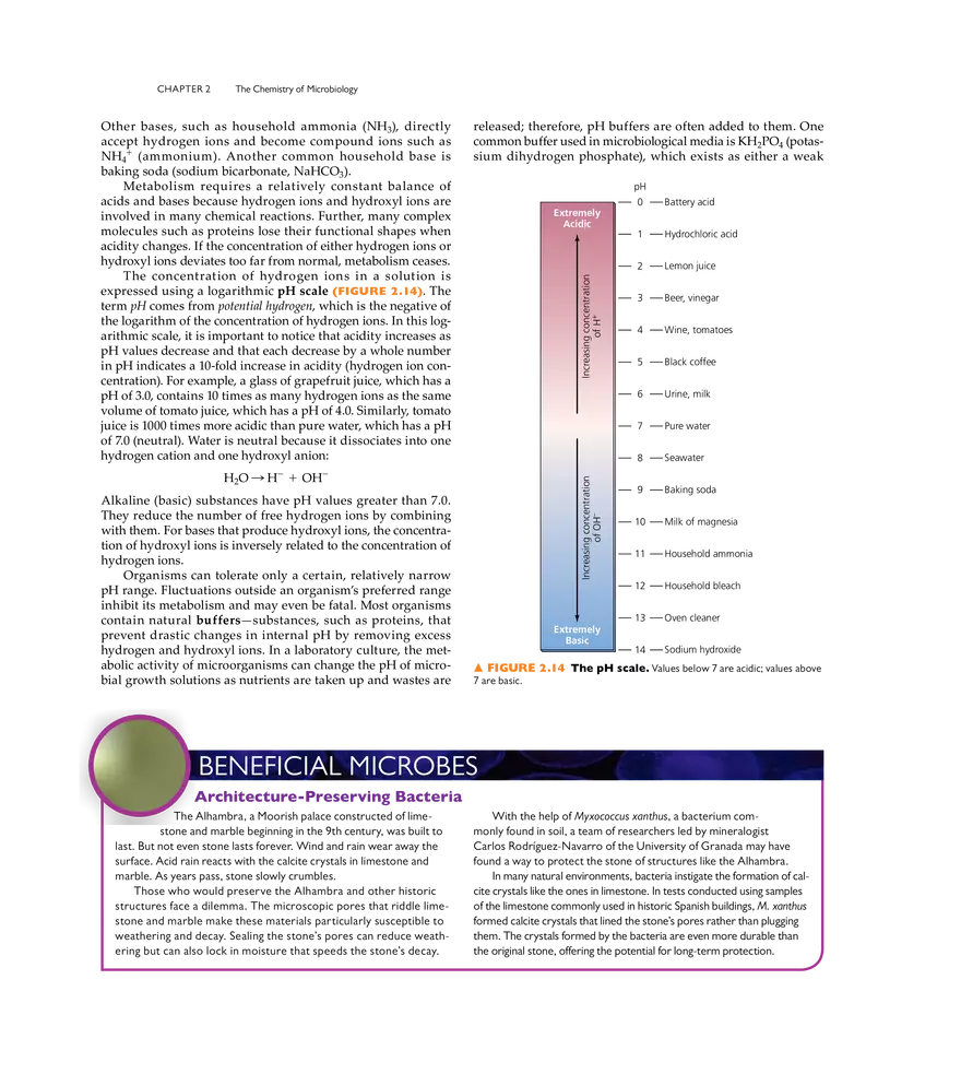 The Chemistry of Microbiology - Page 3