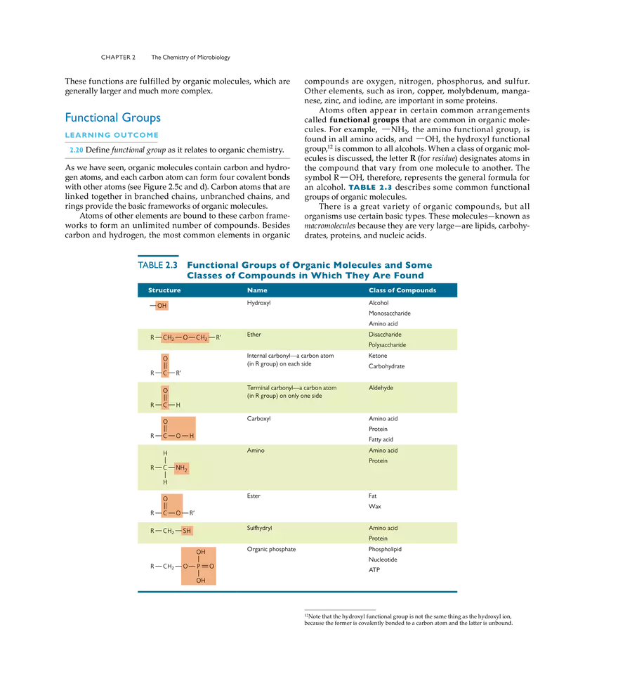 The Chemistry of Microbiology - Page 5