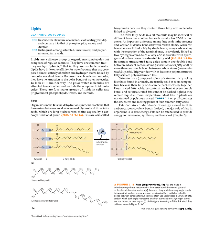 The Chemistry of Microbiology - Page 6