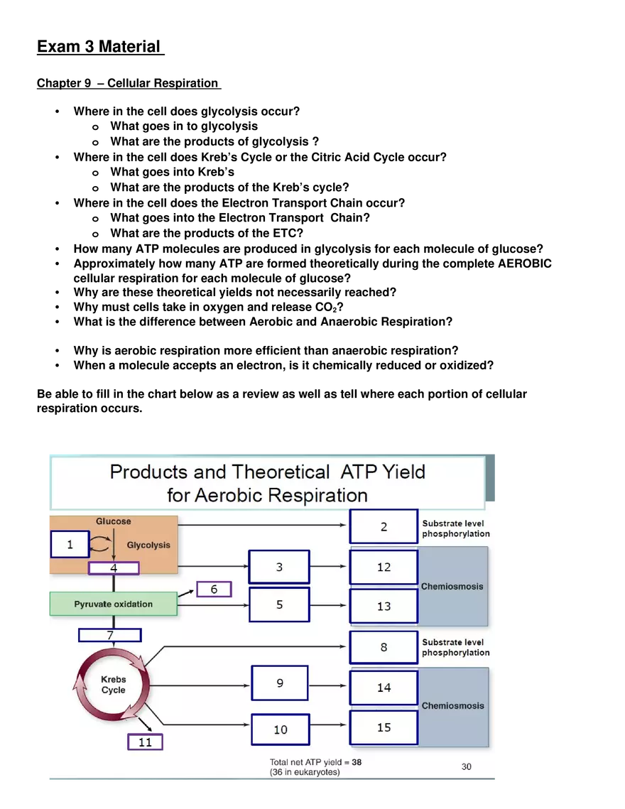 Review Sheet for Biology Exam 3 - Page 1