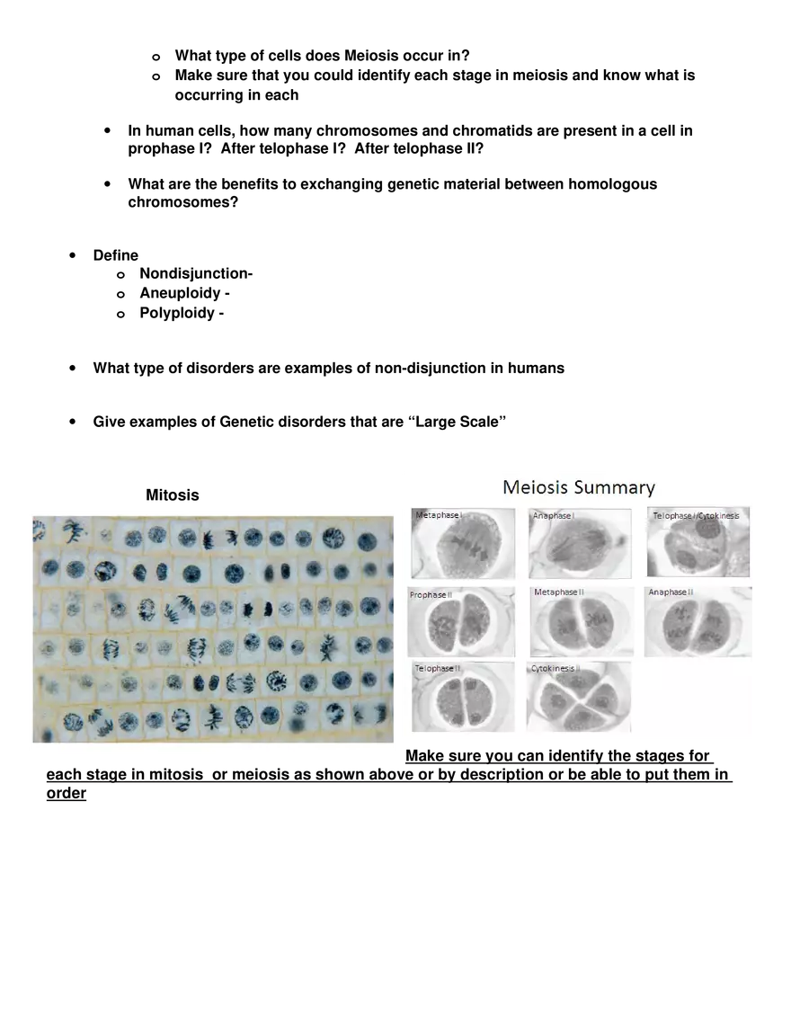 Review Sheet for Biology Exam 3 - Page 5