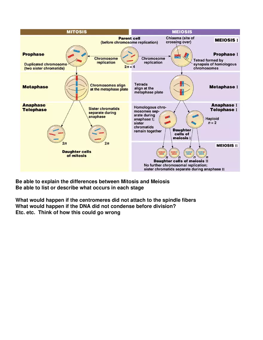 Review Sheet for Biology Exam 3 - Page 6
