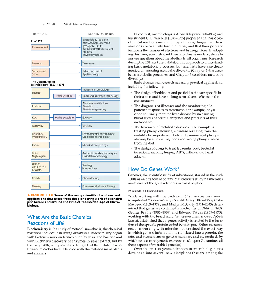A Brief History of Microbiology - Page 9