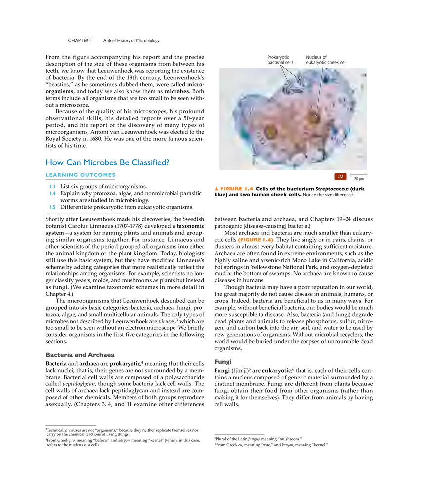 A Brief History of Microbiology - Page 13