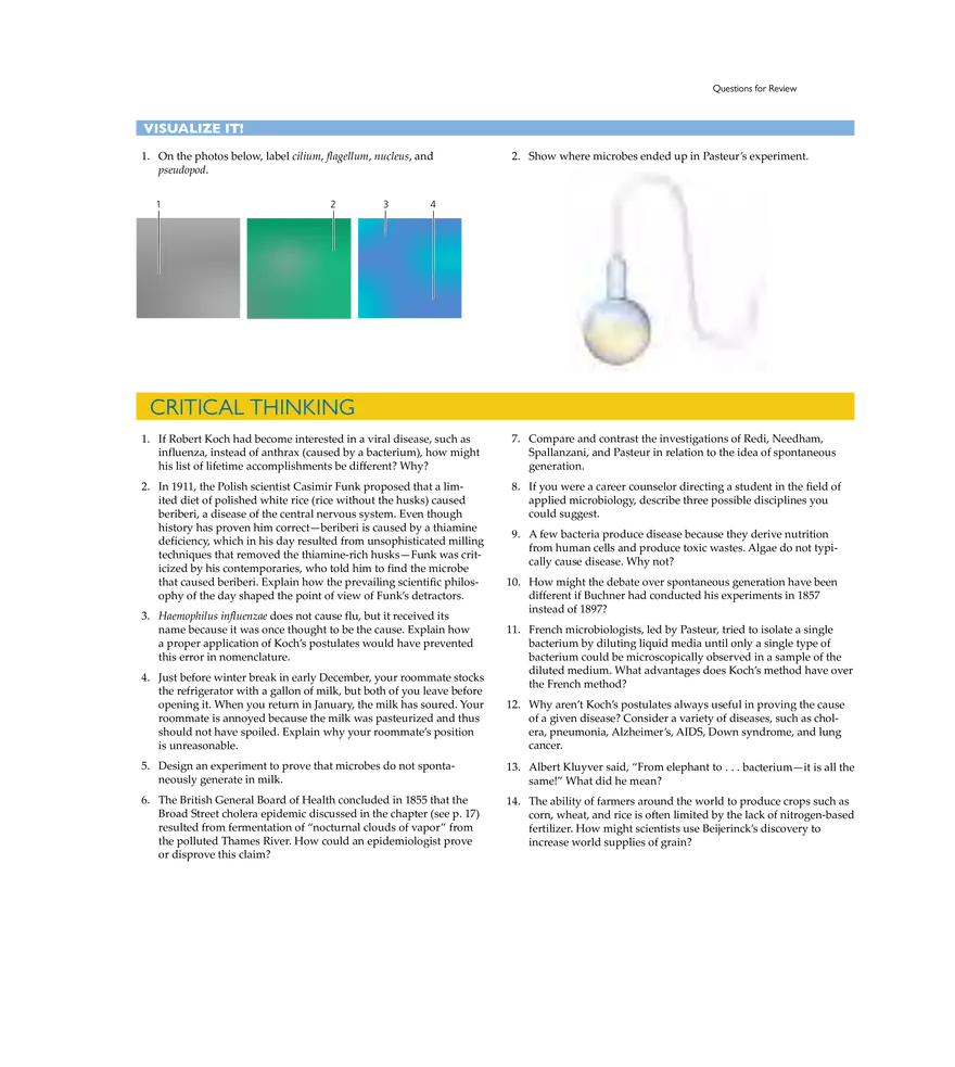 A Brief History of Microbiology - Page 17