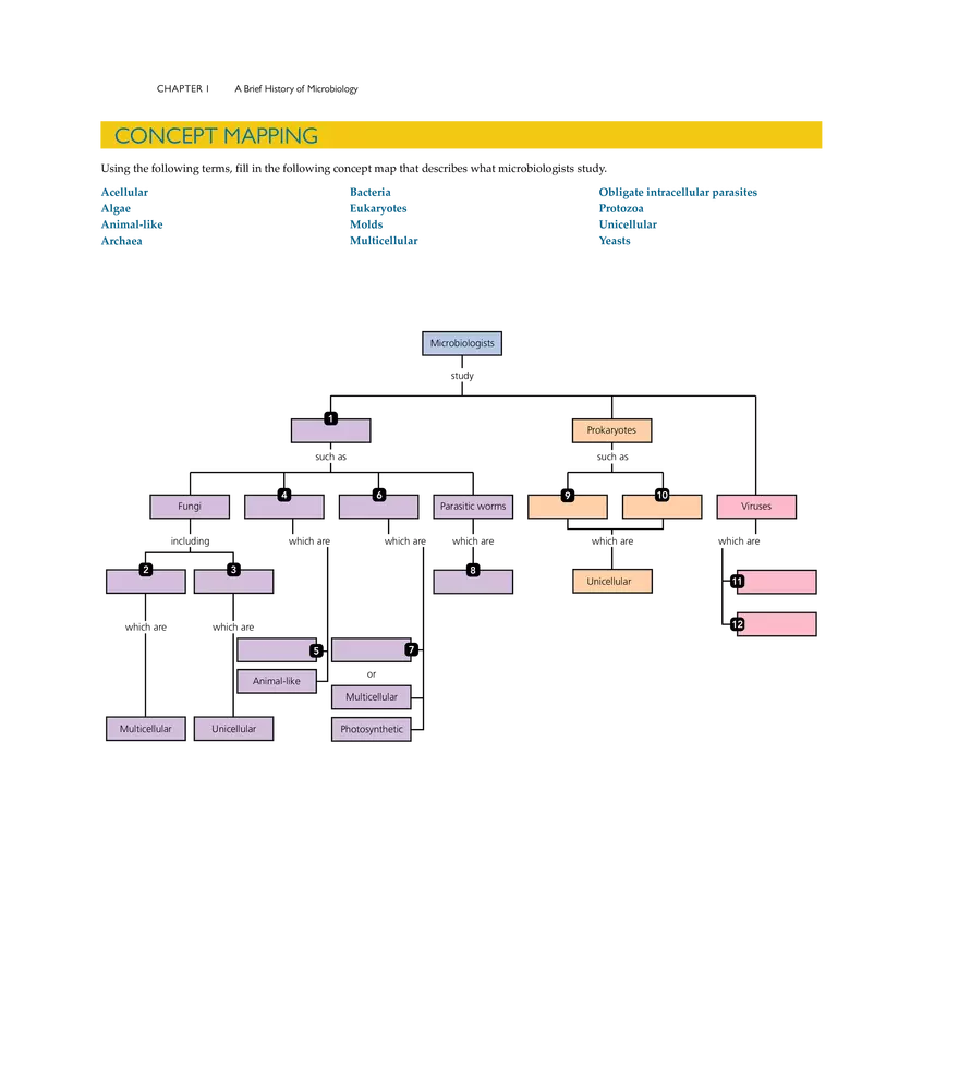 A Brief History of Microbiology - Page 18
