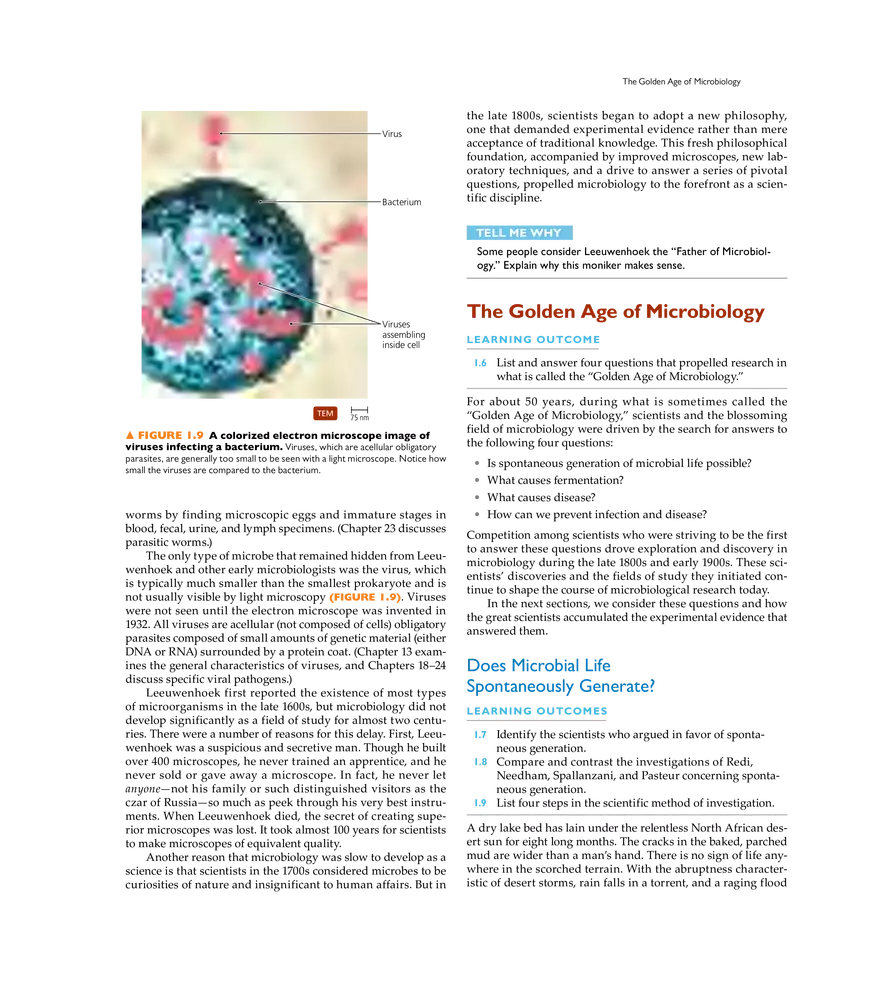 A Brief History of Microbiology - Page 21