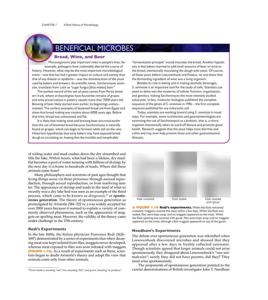 A Brief History of Microbiology - Page 22