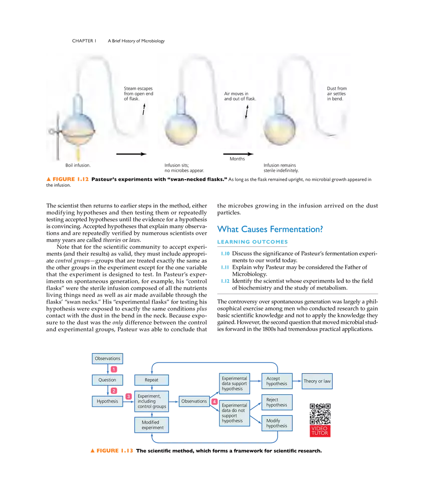 A Brief History of Microbiology - Page 24