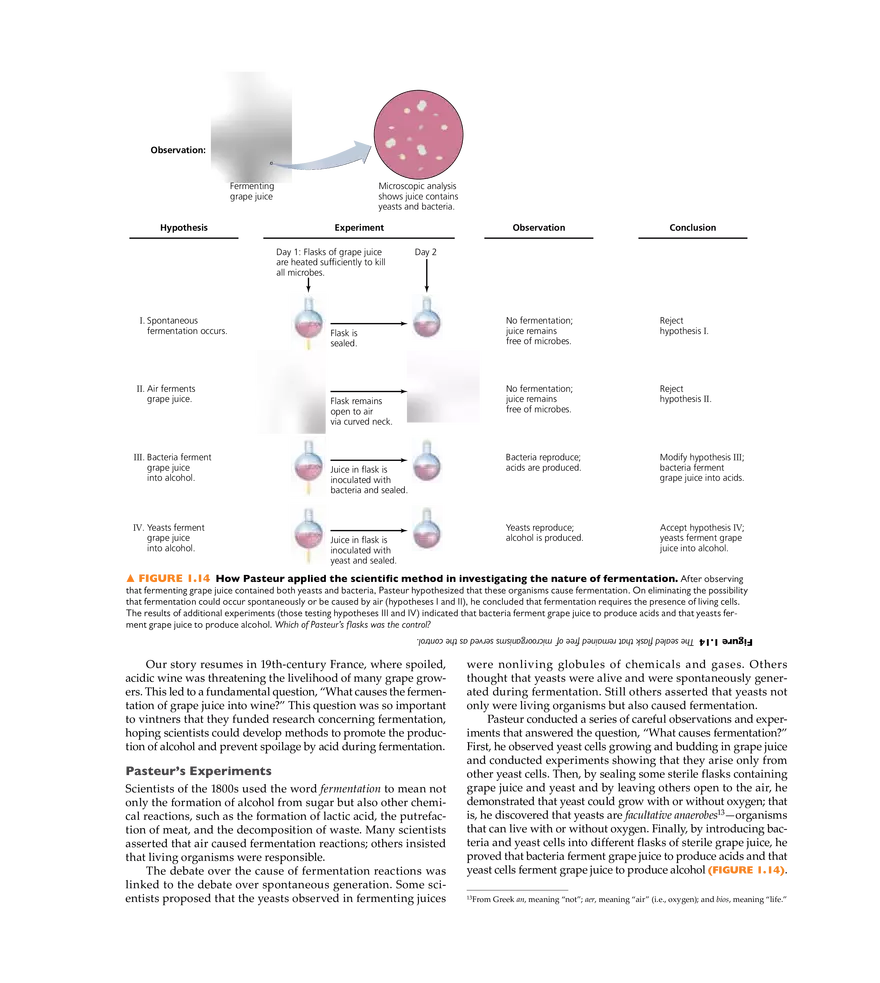 A Brief History of Microbiology - Page 25