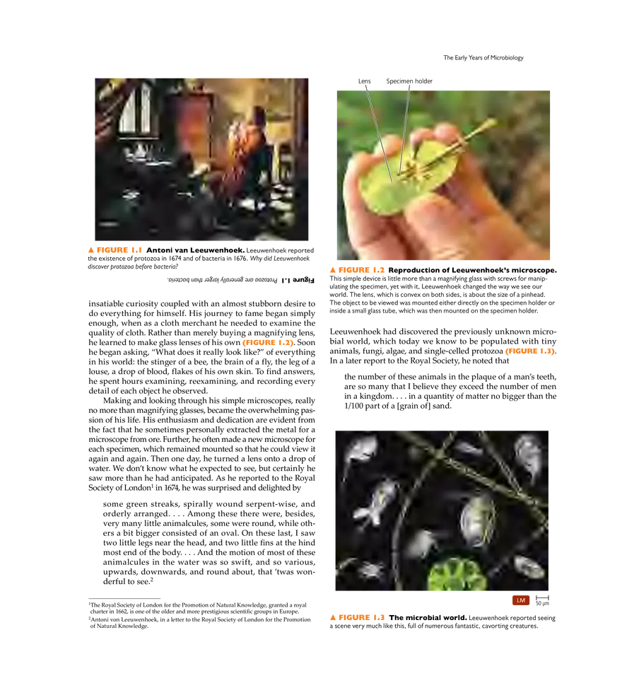 A Brief History of Microbiology - Page 2