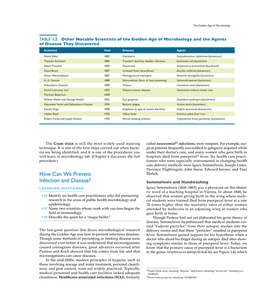 A Brief History of Microbiology - Page 6