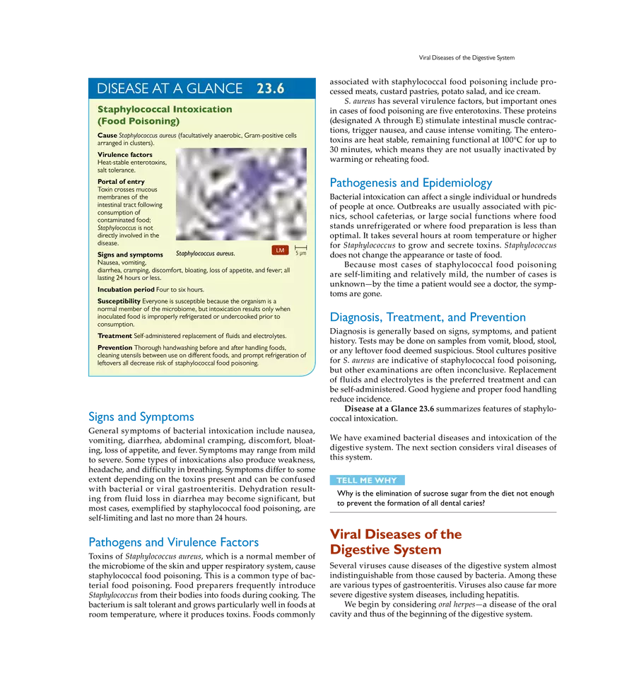 Microbial Diseases of the Digestive System - Page 8