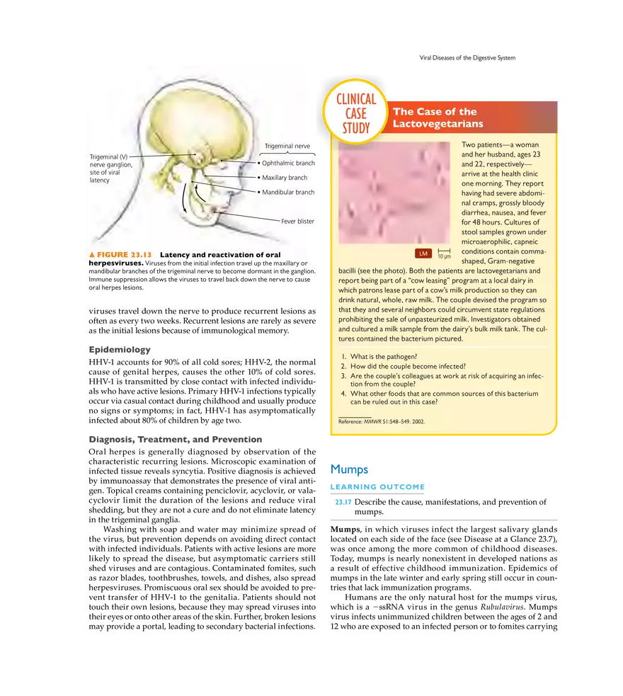Microbial Diseases of the Digestive System - Page 10