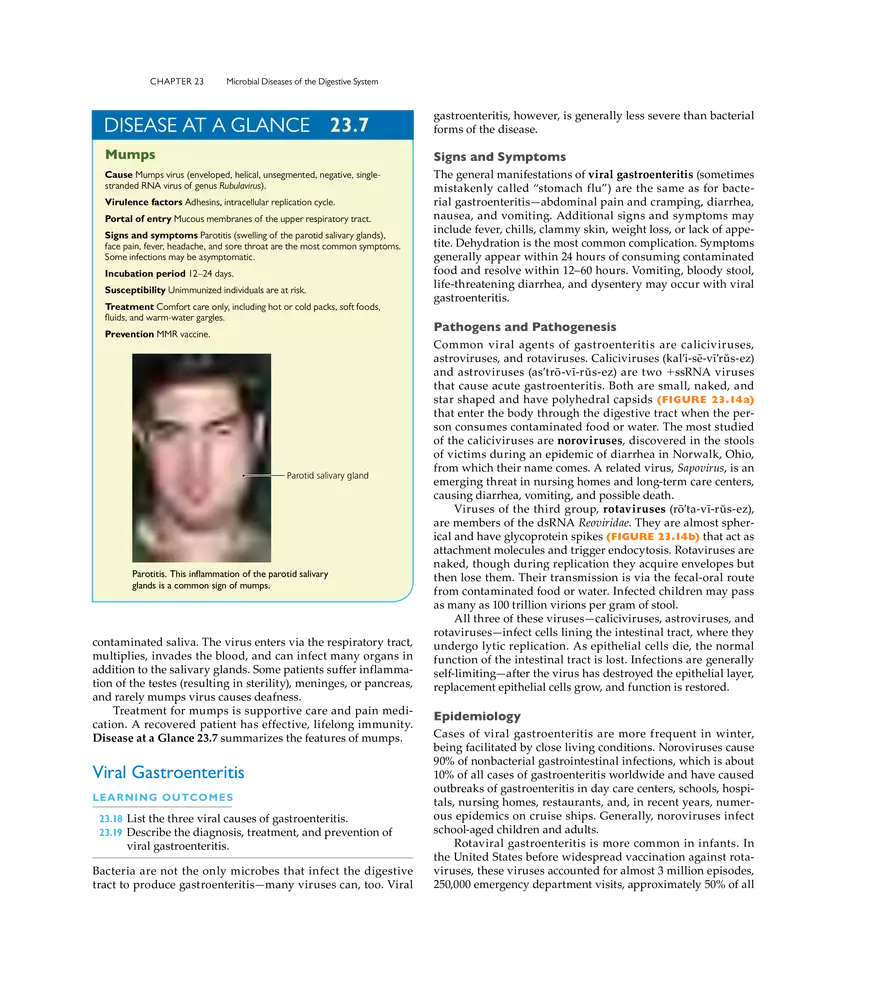 Microbial Diseases of the Digestive System - Page 11