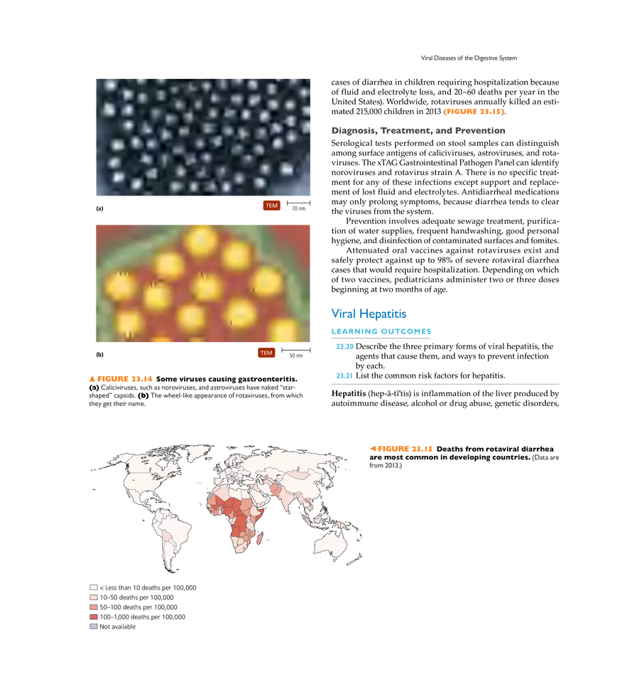 Microbial Diseases of the Digestive System - Page 12