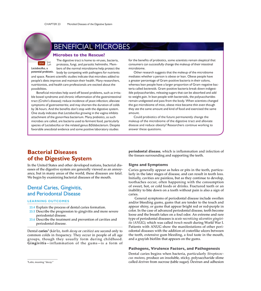 Microbial Diseases of the Digestive System - Page 13