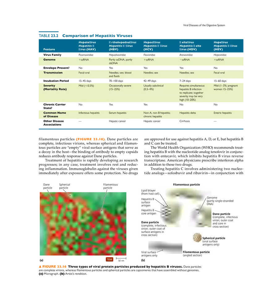 Microbial Diseases of the Digestive System - Page 15