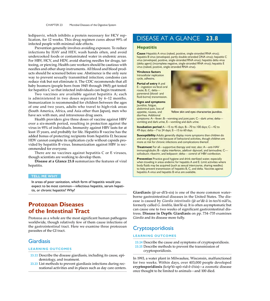 Microbial Diseases of the Digestive System - Page 16