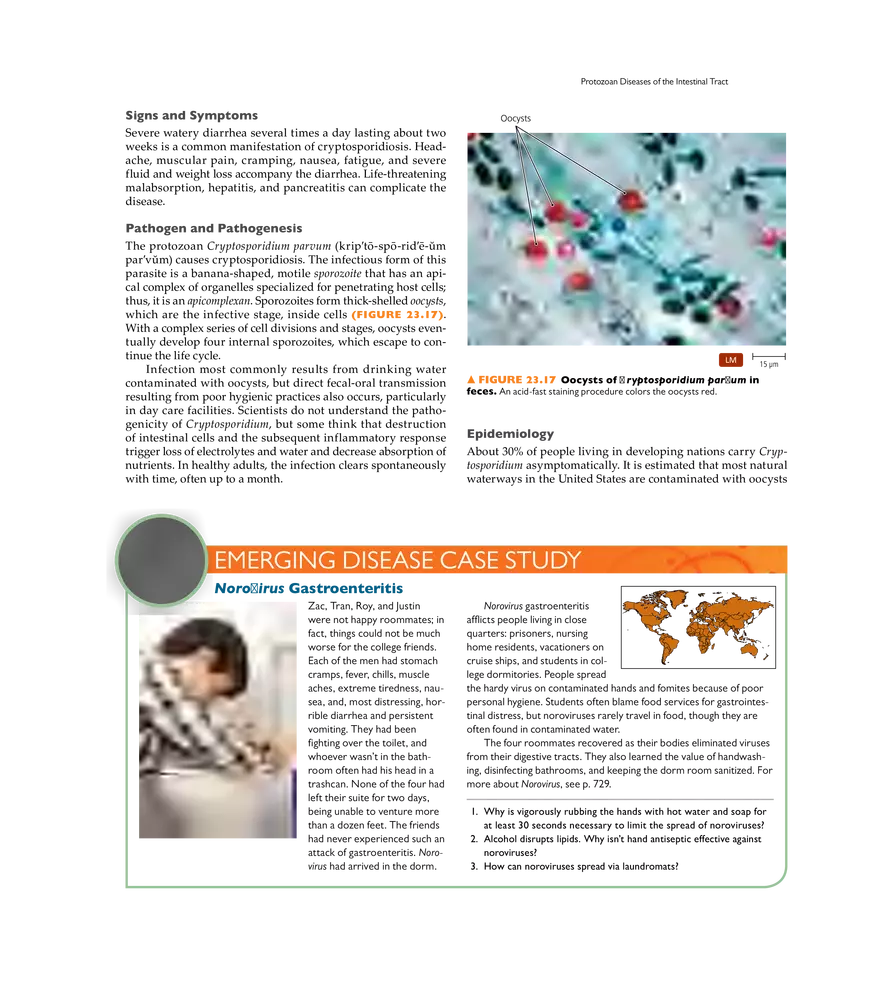 Microbial Diseases of the Digestive System - Page 17
