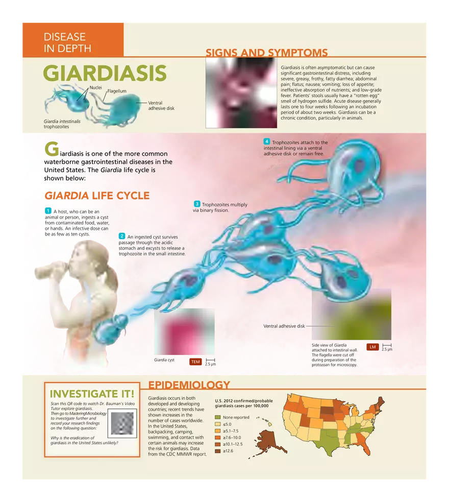 Microbial Diseases of the Digestive System - Page 18