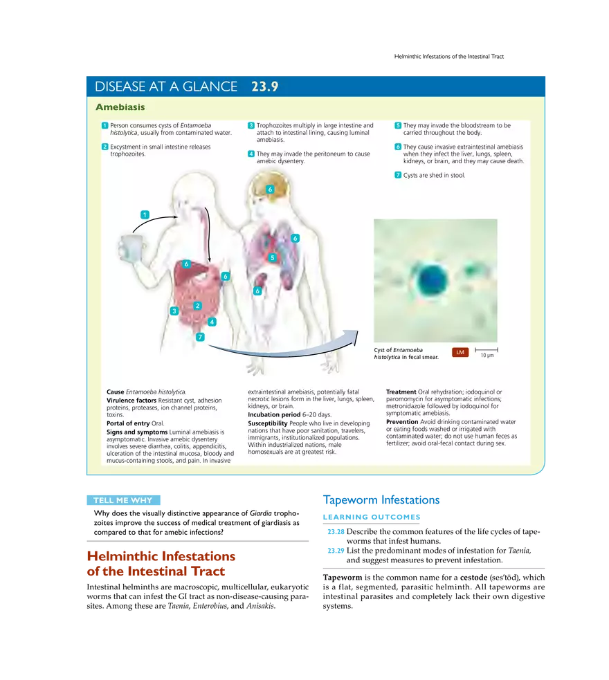 Microbial Diseases of the Digestive System - Page 21
