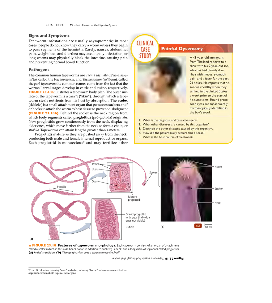 Microbial Diseases of the Digestive System - Page 22