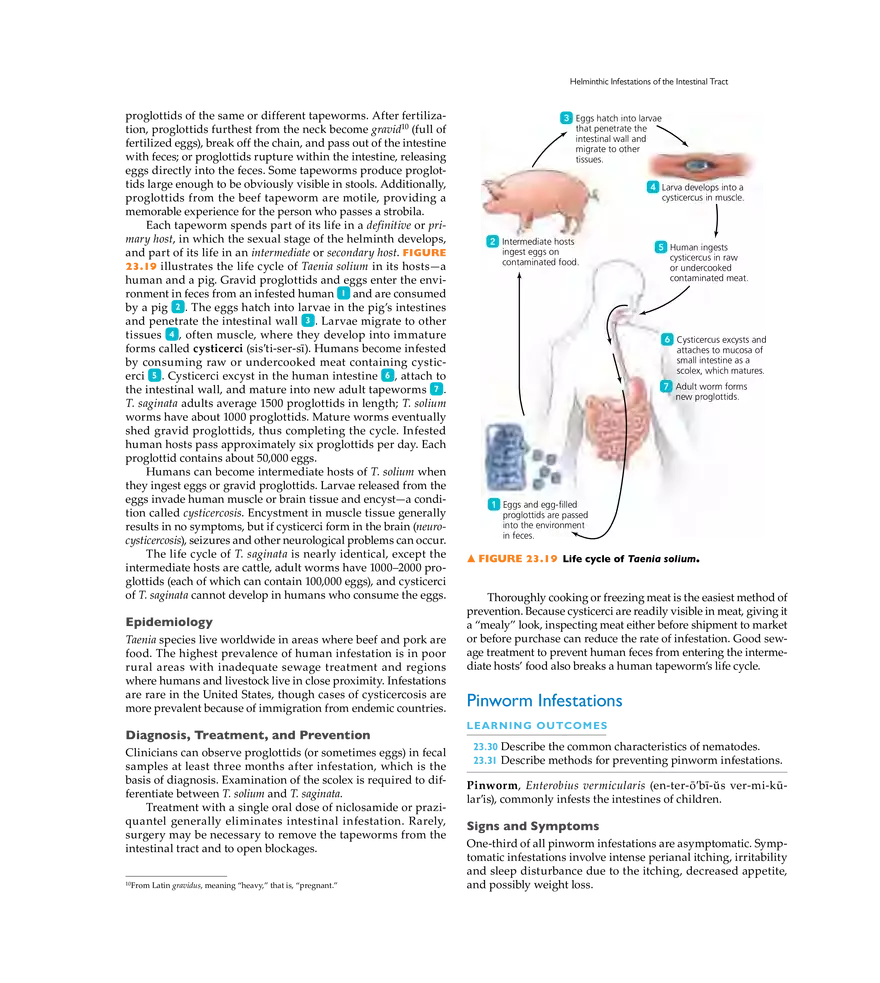 Microbial Diseases of the Digestive System - Page 23