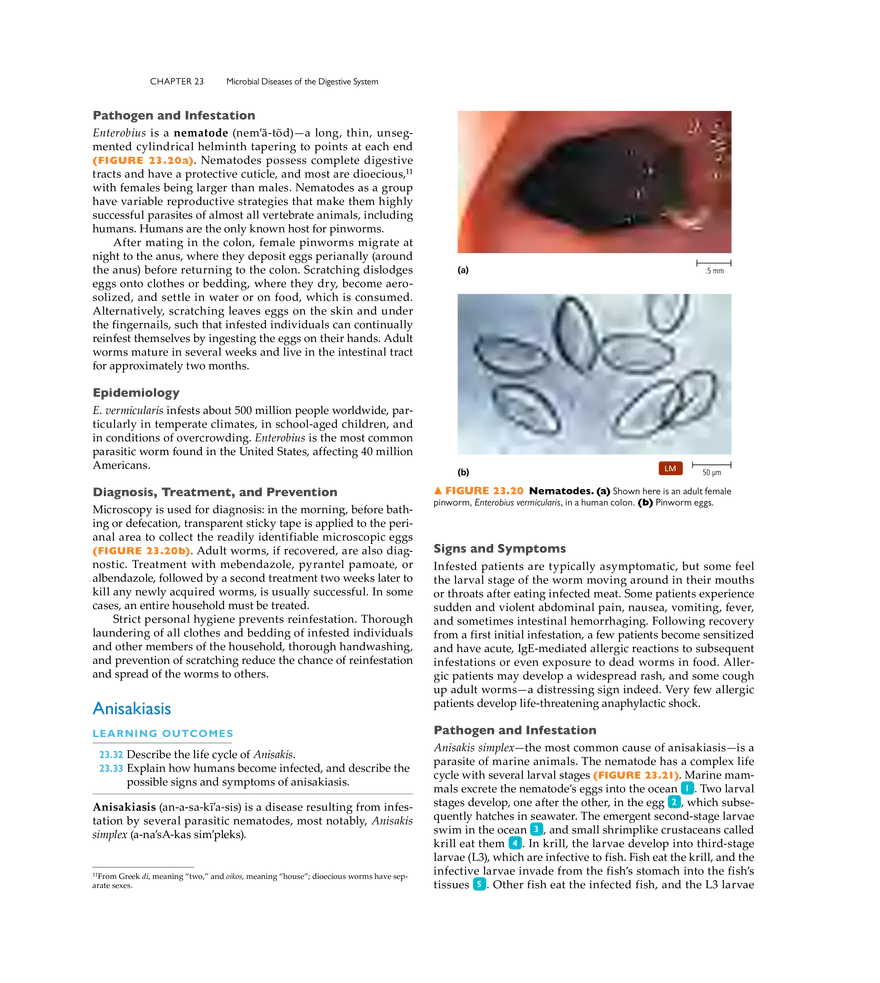 Microbial Diseases of the Digestive System - Page 25