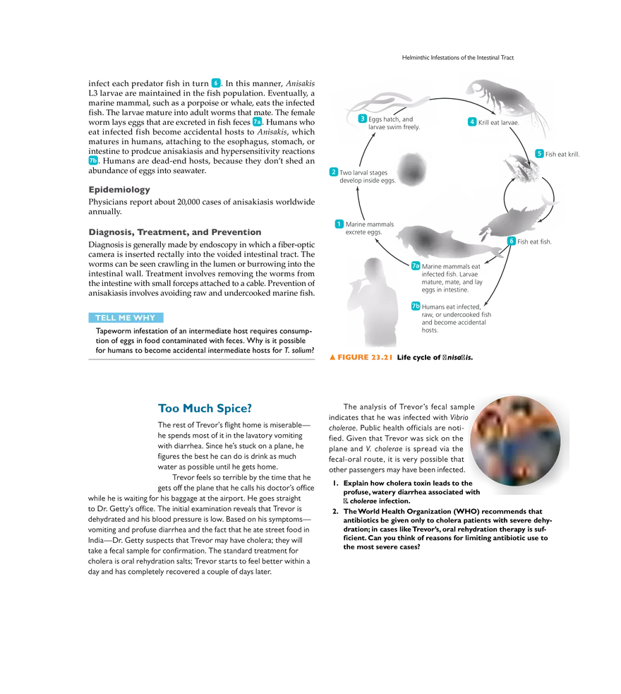 Microbial Diseases of the Digestive System - Page 26