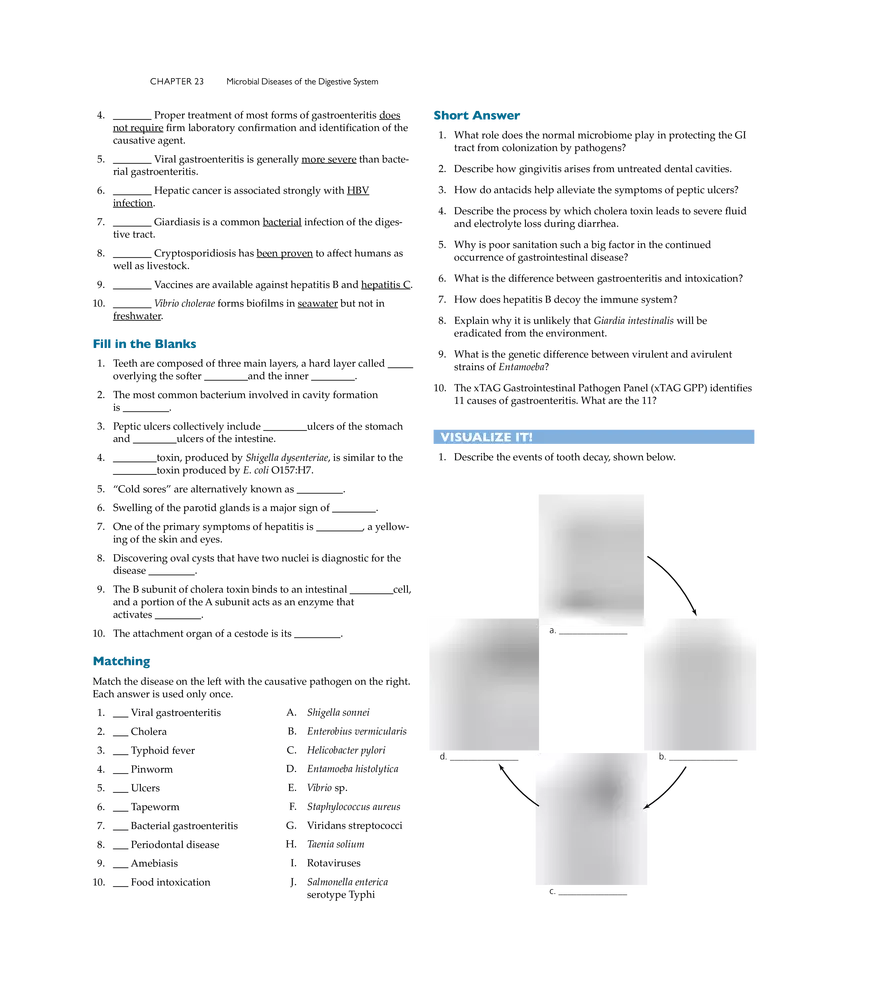 Microbial Diseases of the Digestive System - Page 29
