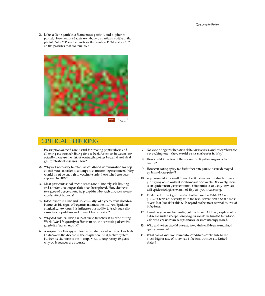 Microbial Diseases of the Digestive System - Page 30