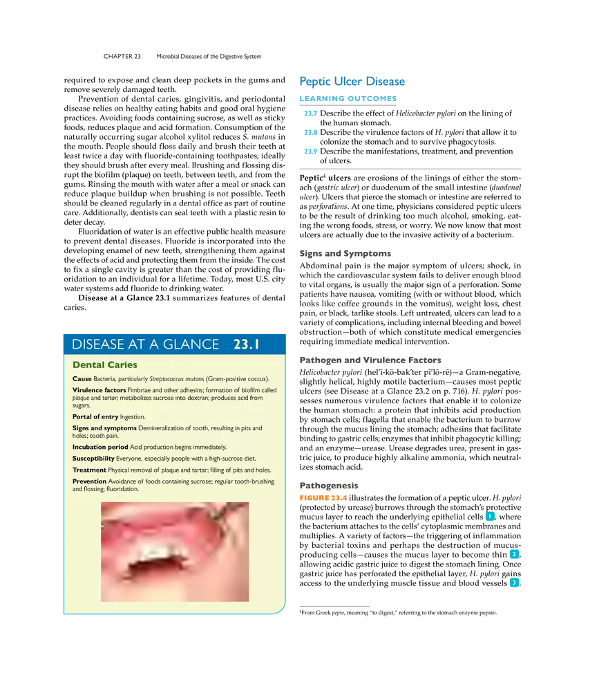 Microbial Diseases of the Digestive System - Page 32