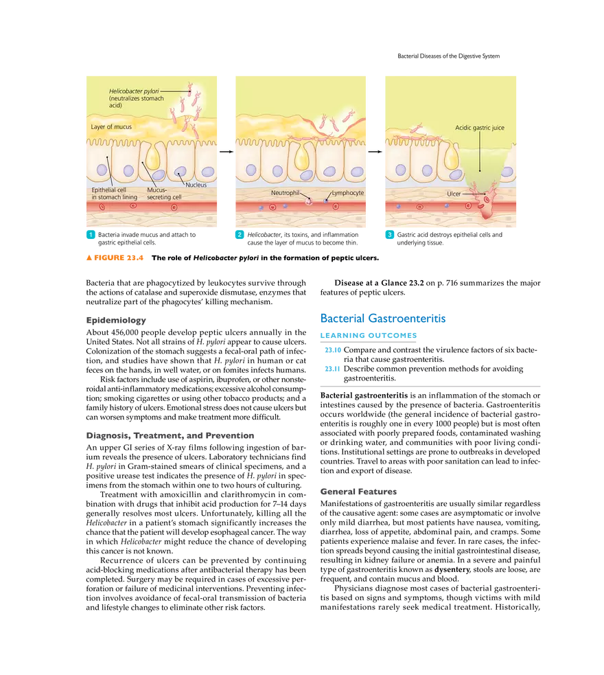 Microbial Diseases of the Digestive System - Page 33