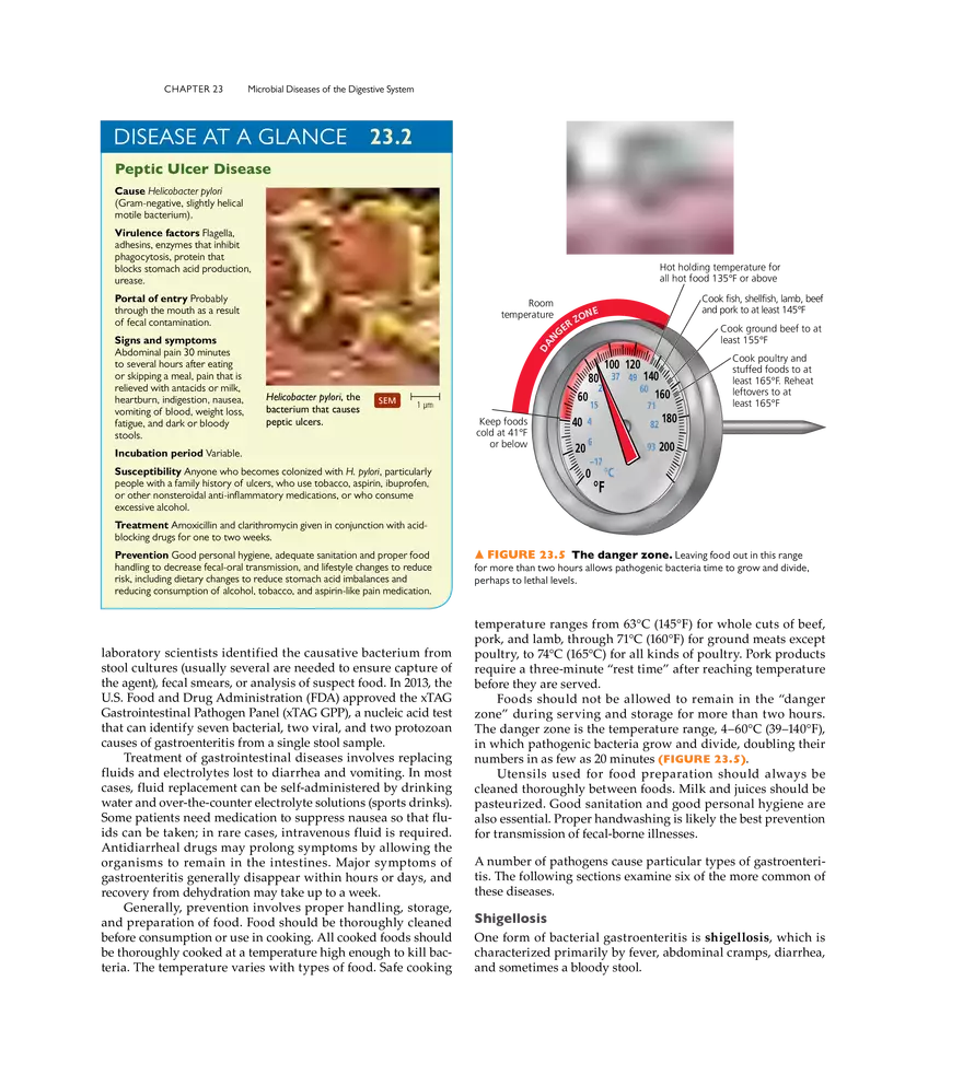 Microbial Diseases of the Digestive System - Page 34