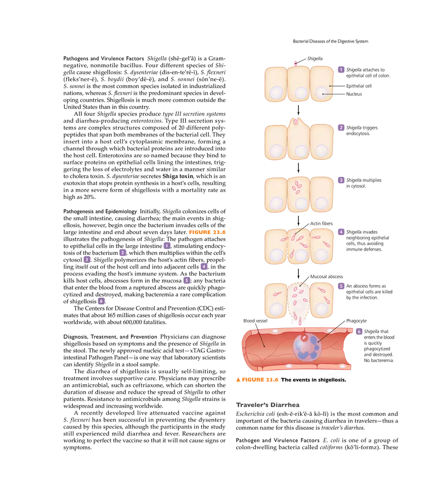 Microbial Diseases of the Digestive System - Page 35