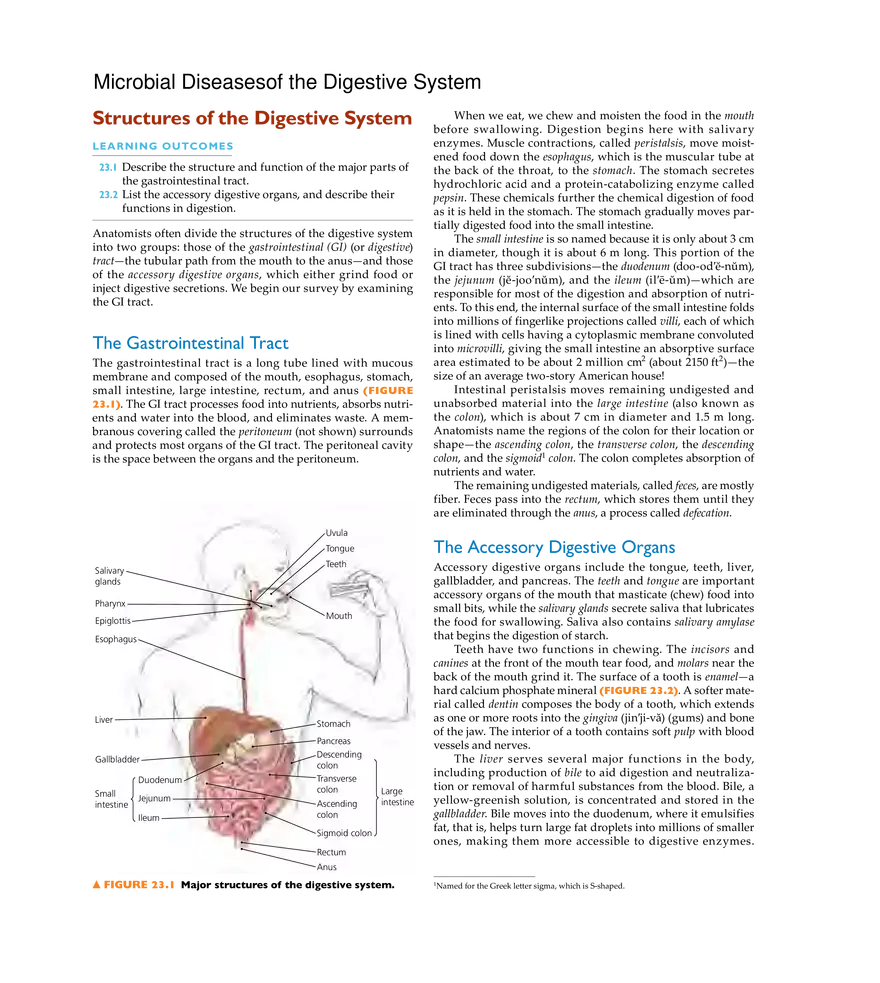Microbial Diseases of the Digestive System - Page 1