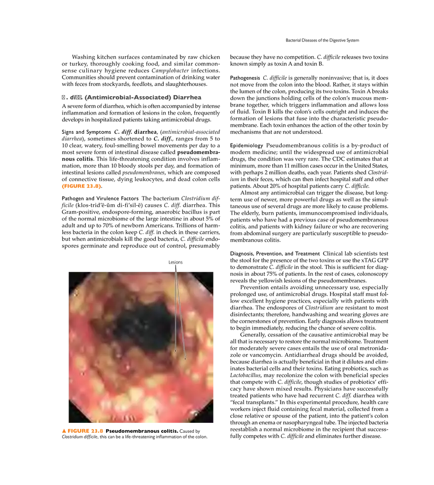 Microbial Diseases of the Digestive System - Page 37