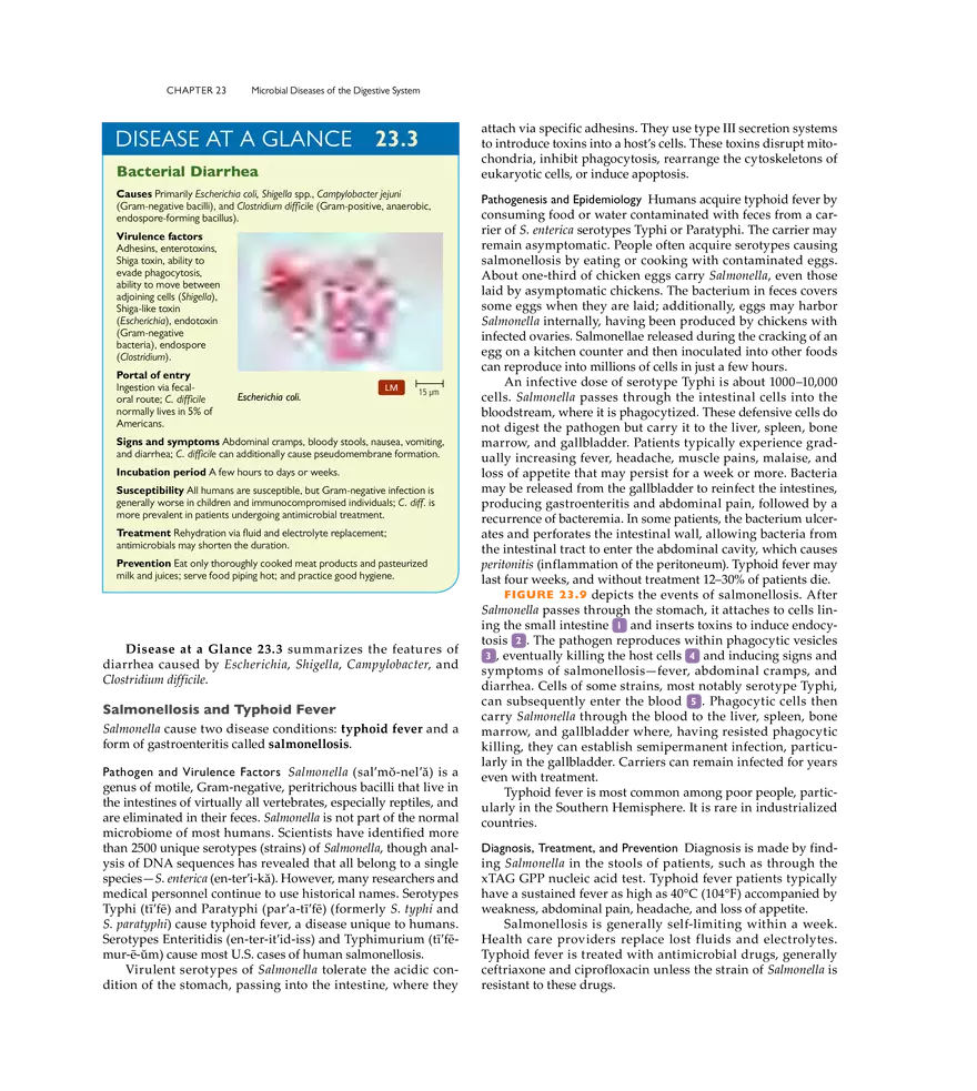 Microbial Diseases of the Digestive System - Page 3