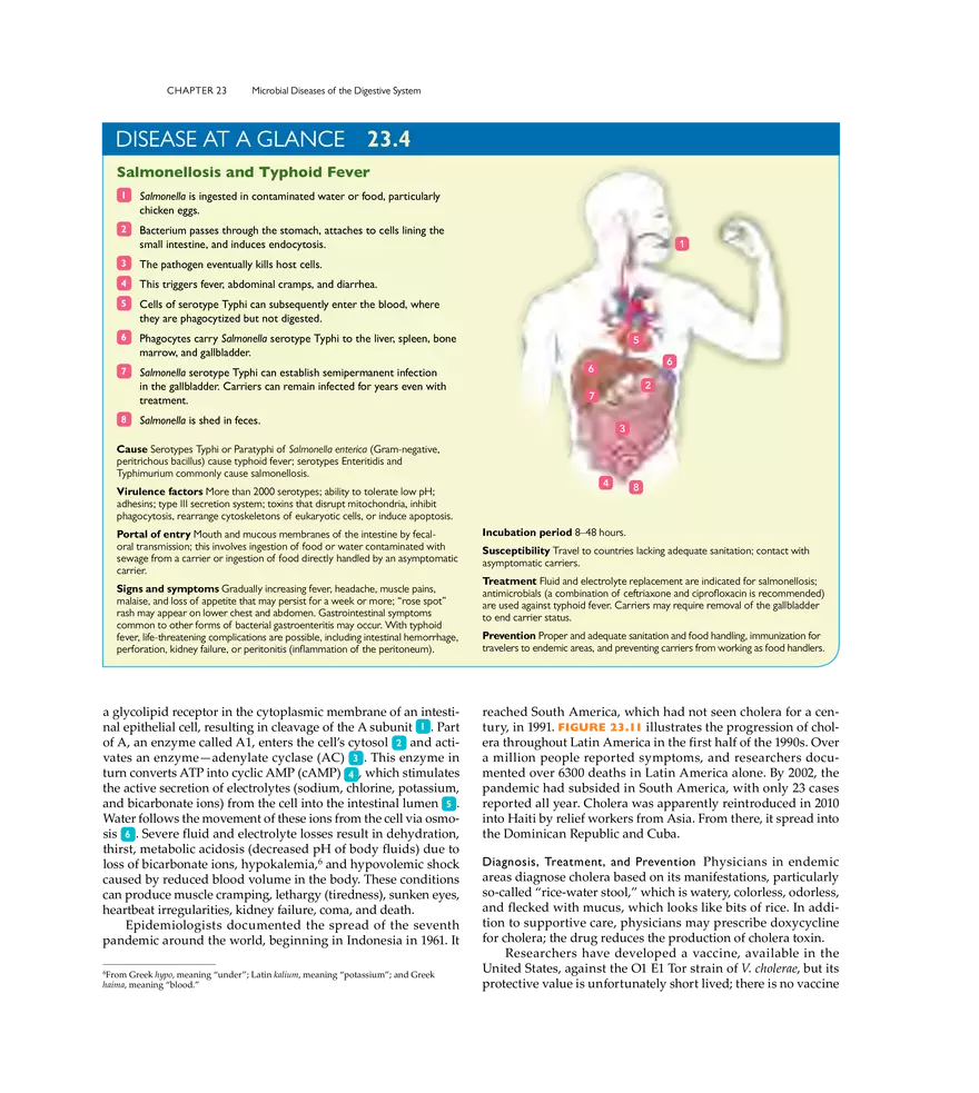 Microbial Diseases of the Digestive System - Page 5