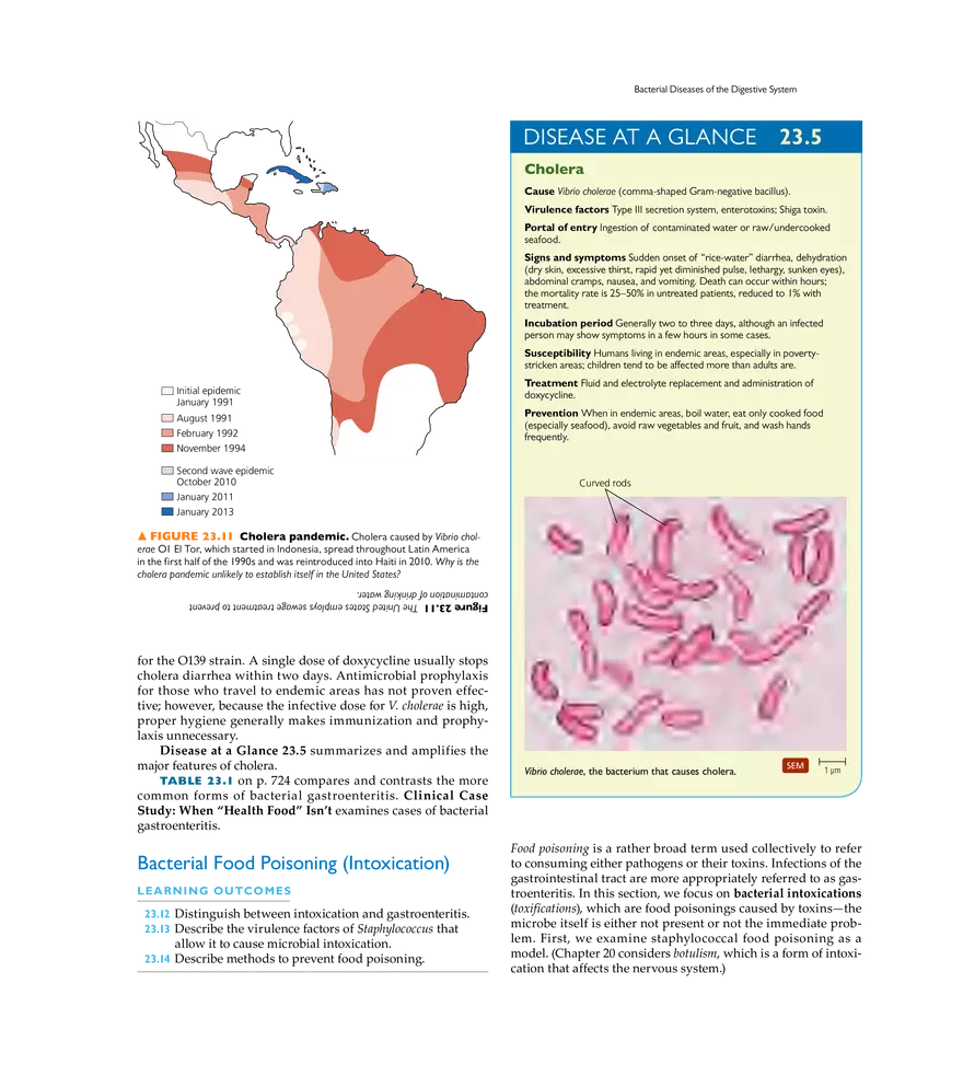 Microbial Diseases of the Digestive System - Page 6