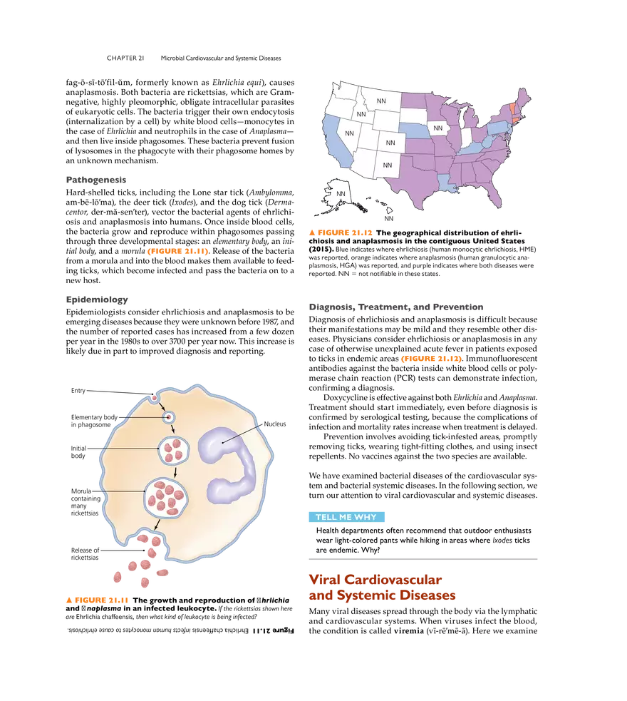 Microbial Cardiovascular and Systemic Diseases - Page 7