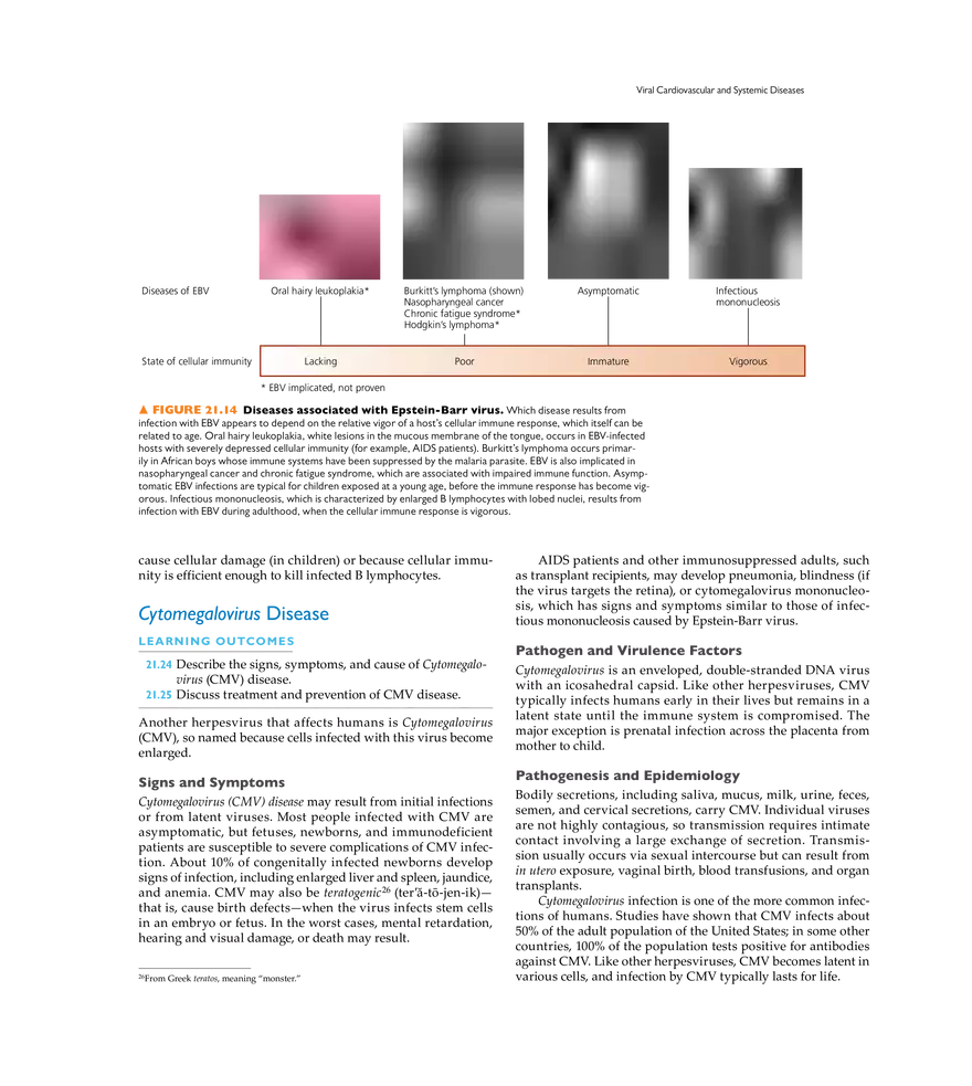 Microbial Cardiovascular and Systemic Diseases - Page 10