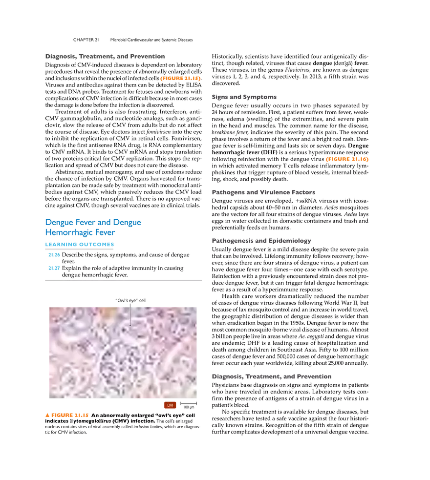 Microbial Cardiovascular and Systemic Diseases - Page 11