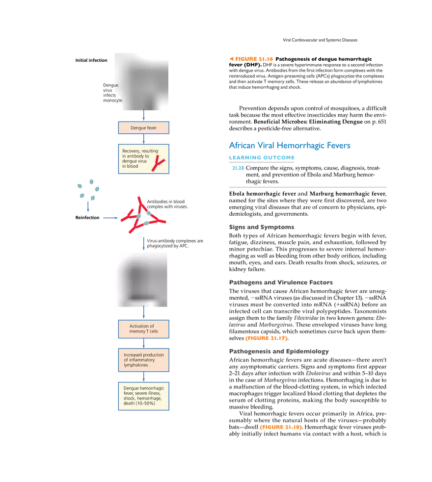 Microbial Cardiovascular and Systemic Diseases - Page 12