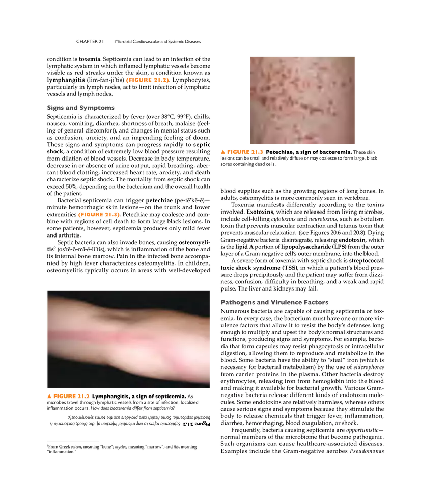 Microbial Cardiovascular and Systemic Diseases - Page 13