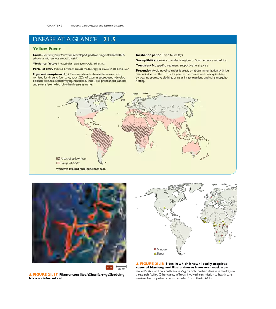 Microbial Cardiovascular and Systemic Diseases - Page 14