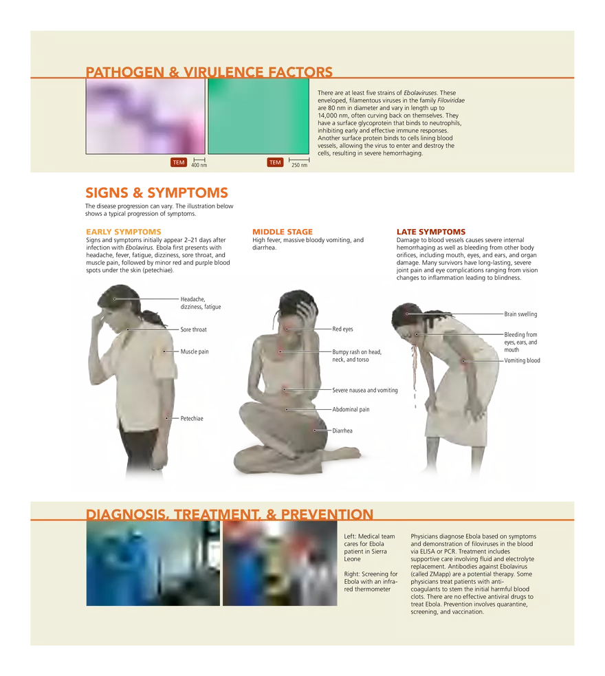 Microbial Cardiovascular and Systemic Diseases - Page 17