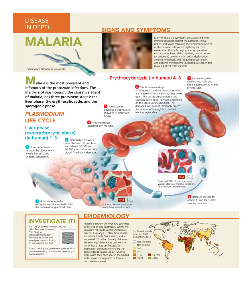 Microbial Cardiovascular and Systemic Diseases - Page 20
