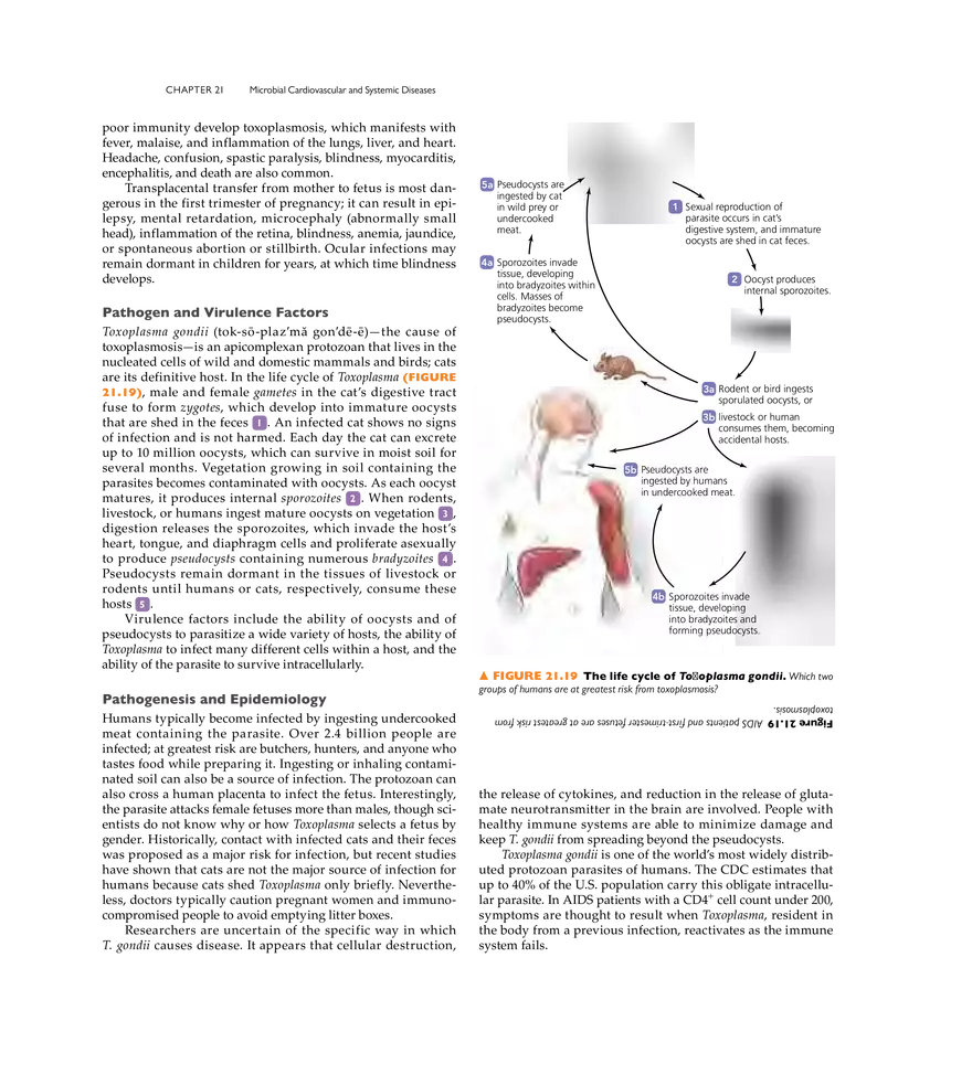 Microbial Cardiovascular and Systemic Diseases - Page 22